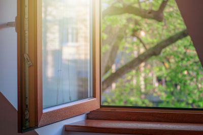 Wood Window Service in Saint Petersburg, FL